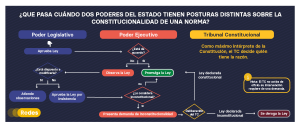 Tribunal Constitucional | REDES